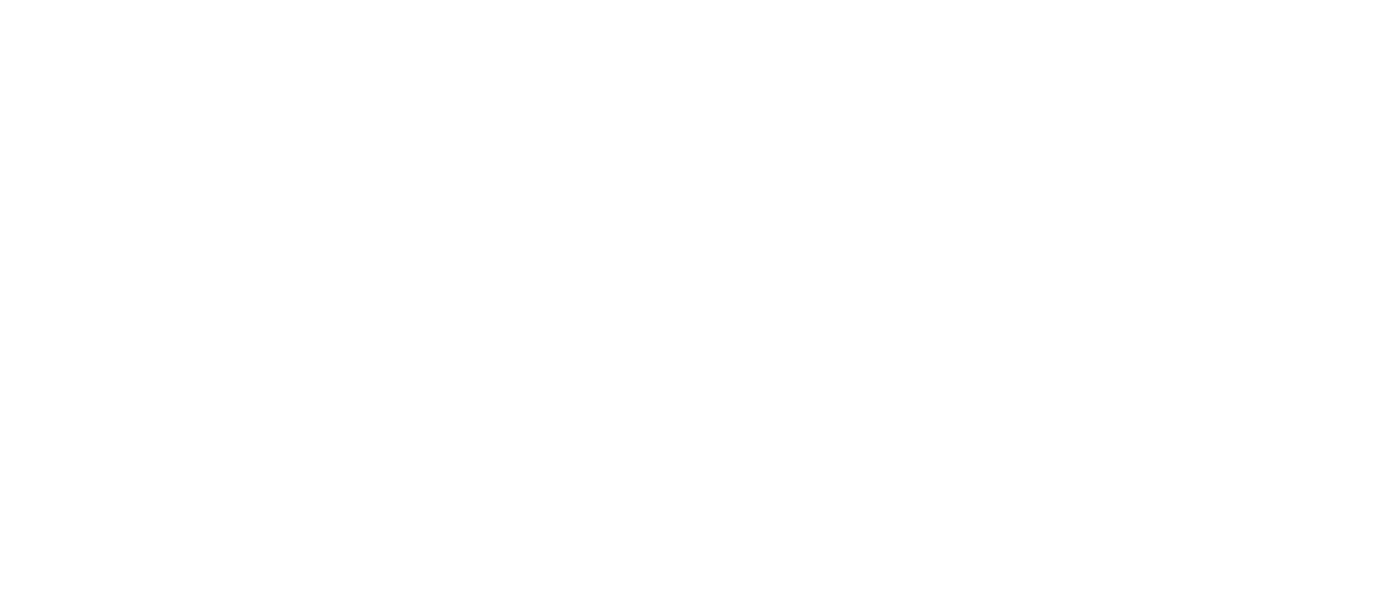 vnms-running-hub-logo